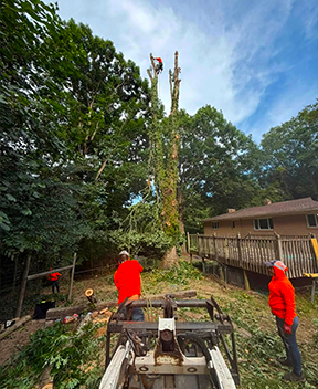 Premium Hardscape Renovations
