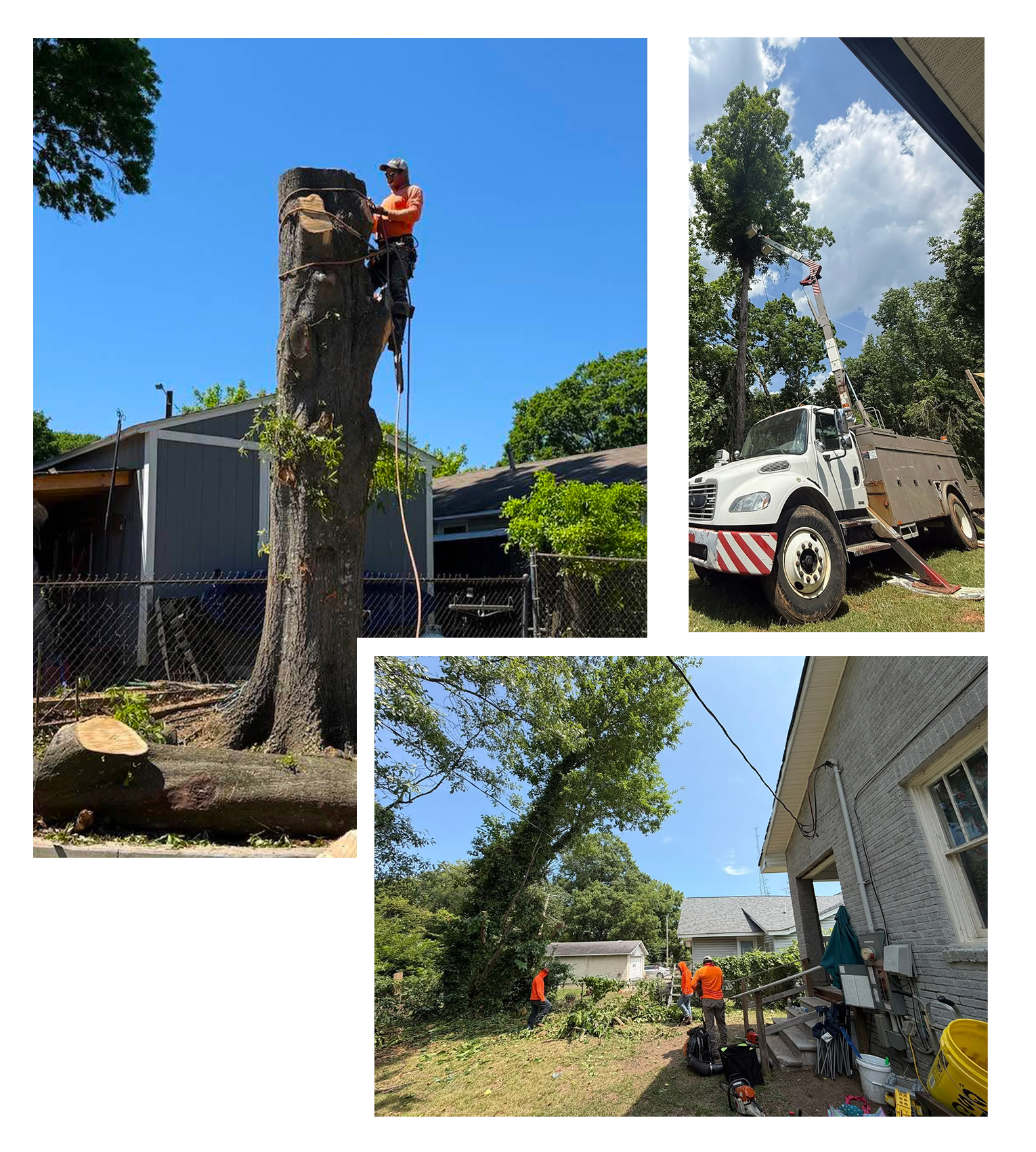 About Alex Mayo's Landscaping & Tree Services LLC