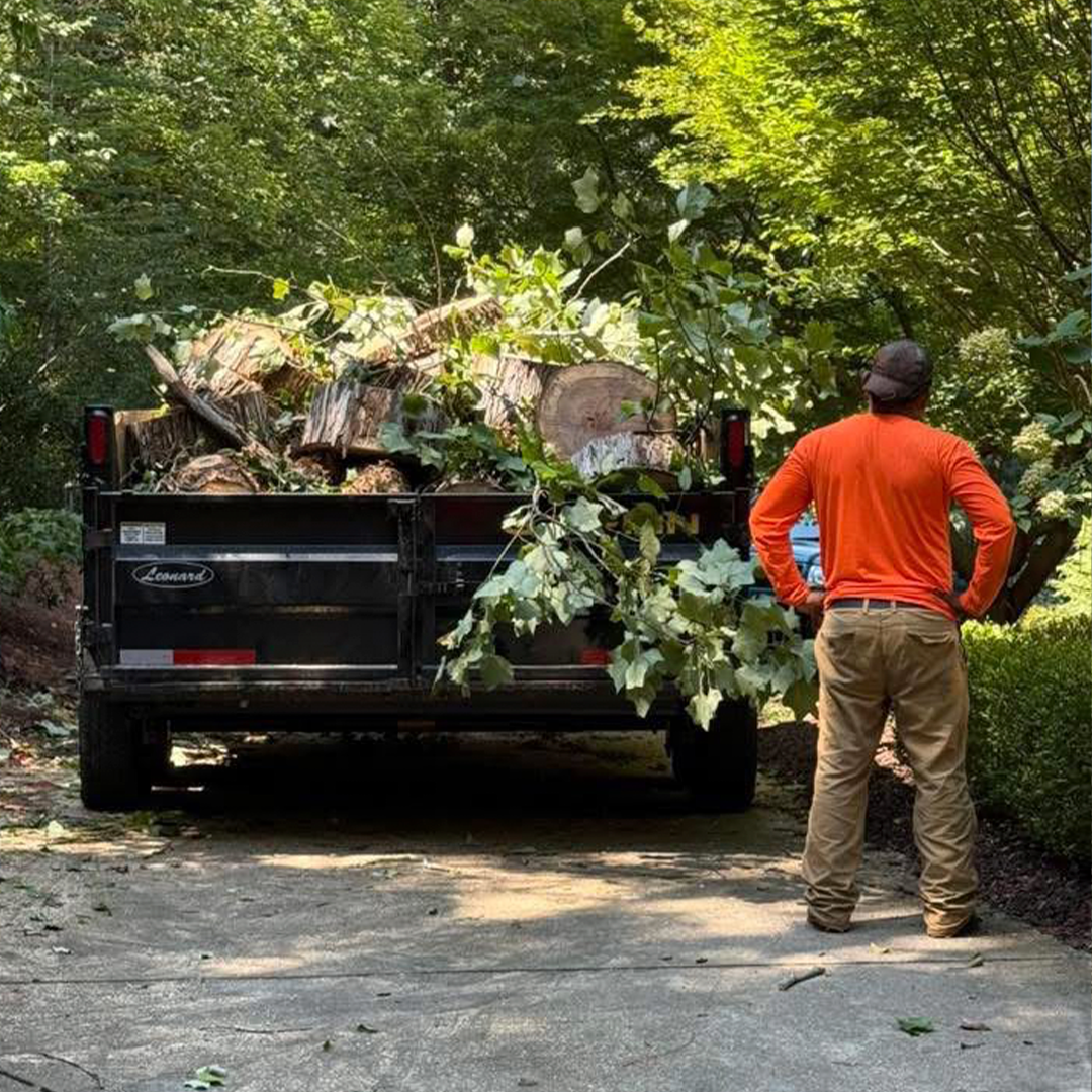 Alex Mayo Lawn Edging and Mulch Spreading Services